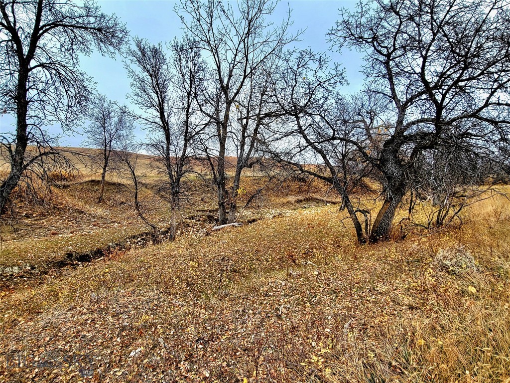 0 Buffalo Coulee Unit