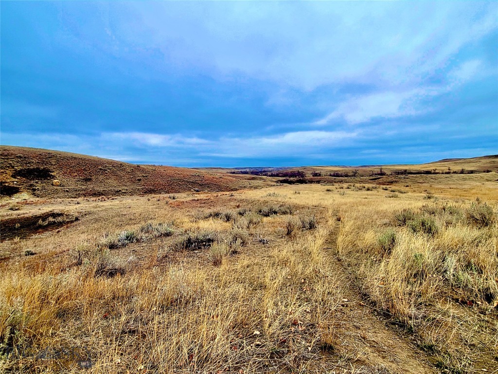 0 Buffalo Coulee Unit