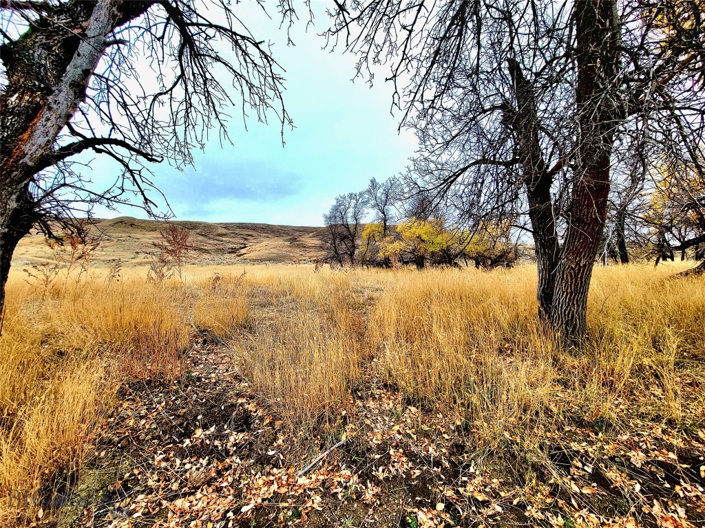 0 Buffalo Coulee Unit