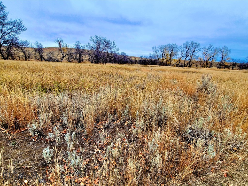 0 Buffalo Coulee Unit