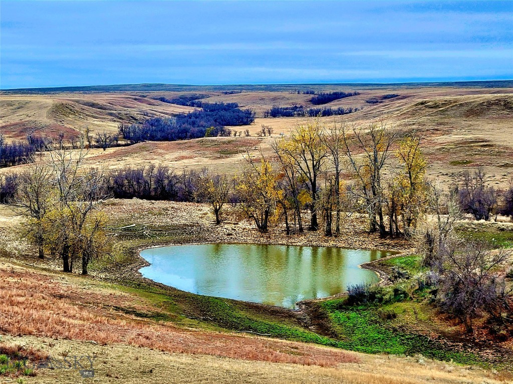 0 Buffalo Coulee Unit