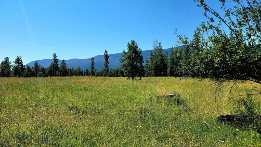 Trout Creek MT 59874 - 6