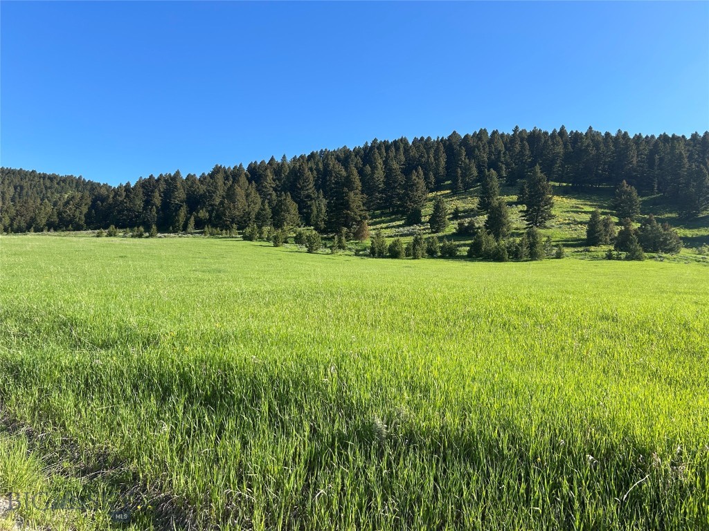 Bozeman MT 59715 - 1