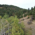 Bozeman MT 59715 - 6