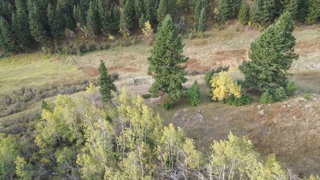 Bozeman MT 59715 - 7