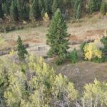 Bozeman MT 59715 - 7