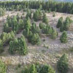 Bozeman MT 59715 - 9