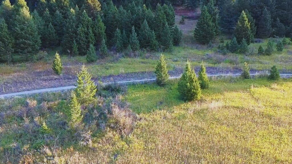 Bozeman MT 59715 - 11