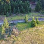 Bozeman MT 59715 - 11