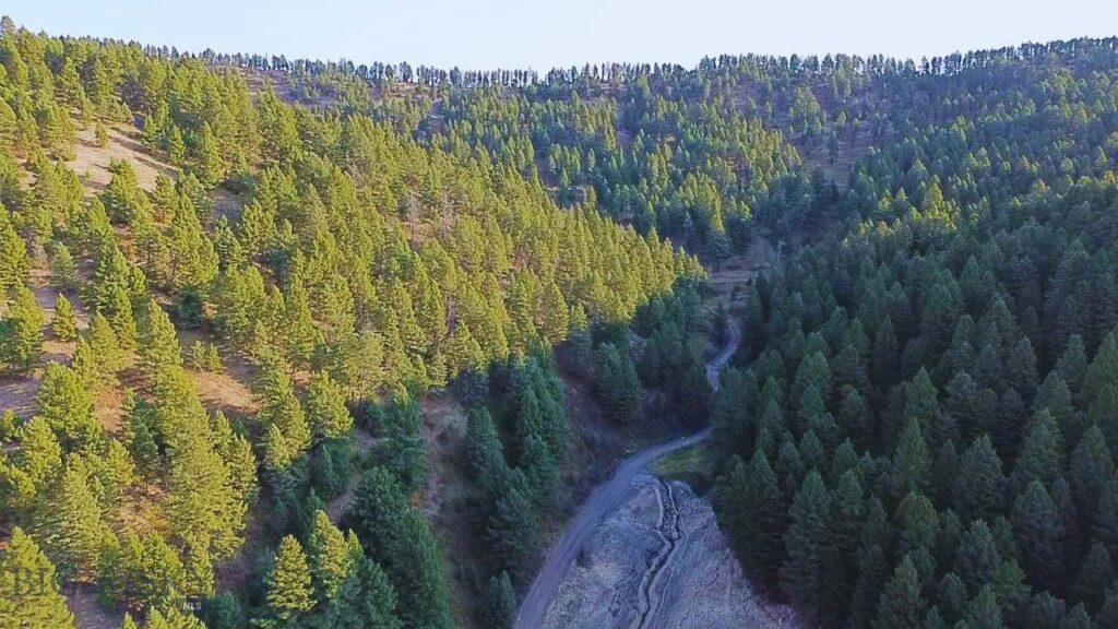 Bozeman MT 59715 - 12