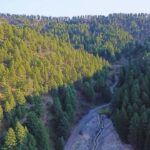 Bozeman MT 59715 - 12