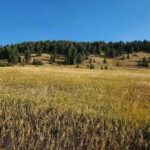 Bozeman MT 59715 - 13