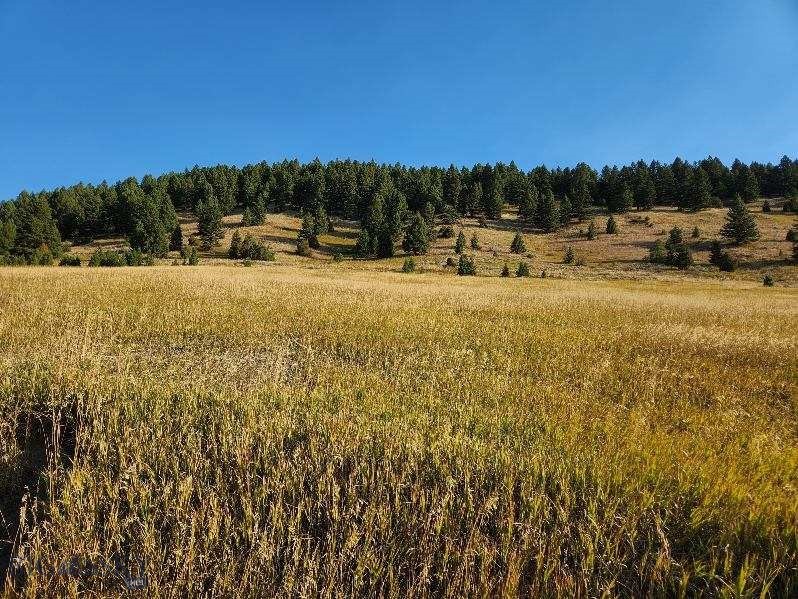 Bozeman MT 59715 - 13