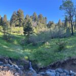 Bozeman MT 59715 - 2