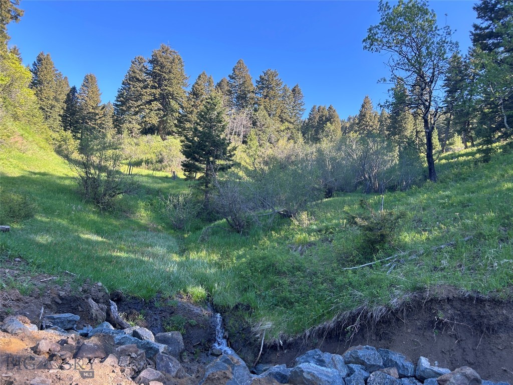 Bozeman MT 59715 - 2