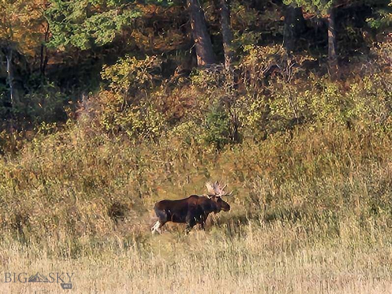 Bozeman MT 59715 - 18