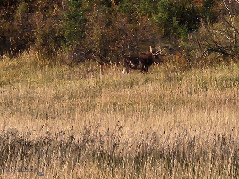 Bozeman MT 59715 - 20