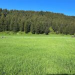 Bozeman MT 59715 - 1