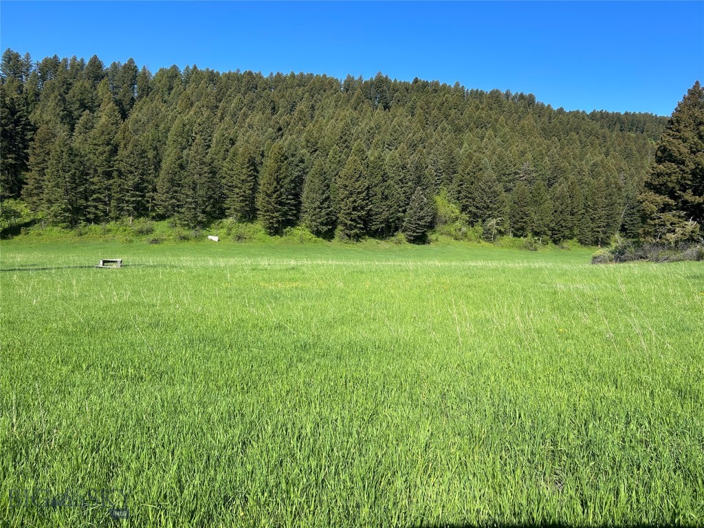 Bozeman MT 59715 - 1