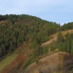 Bozeman MT 59715 - 6