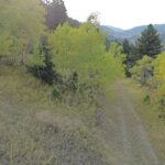 Bozeman MT 59715 - 7