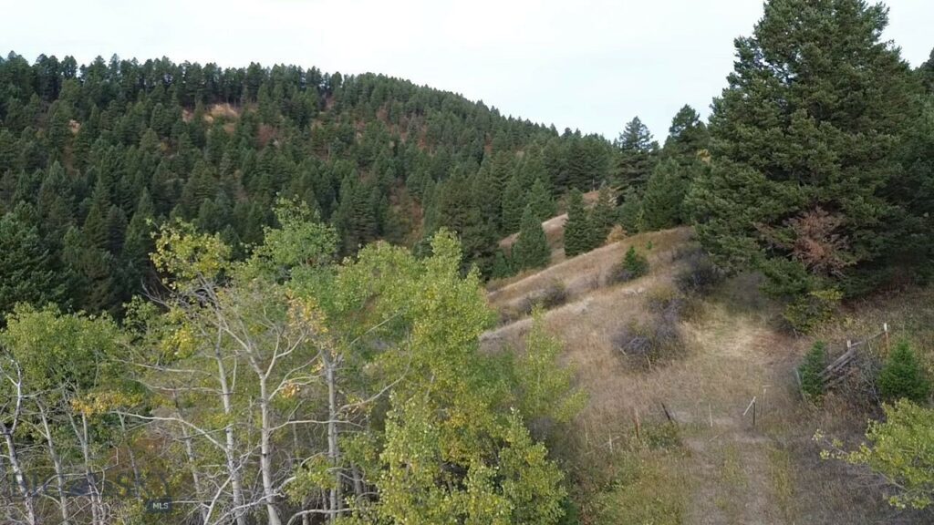 Bozeman MT 59715 - 8