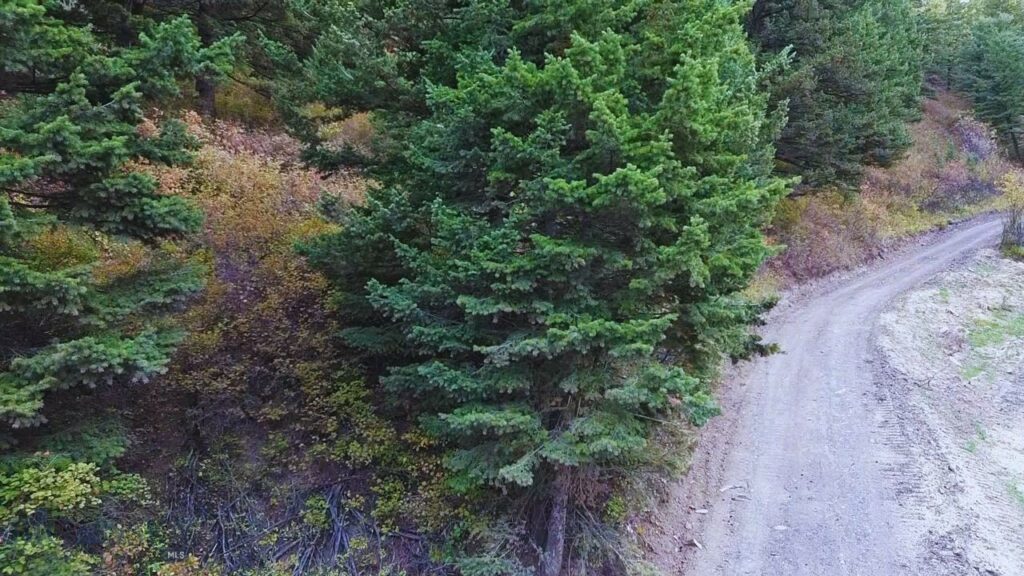 Bozeman MT 59715 - 10