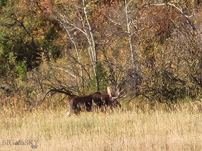Bozeman MT 59715 - 11