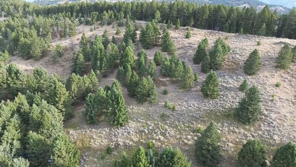 Bozeman MT 59715 - 12