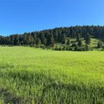 Bozeman MT 59715 - 2