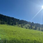 Bozeman MT 59715 - 3