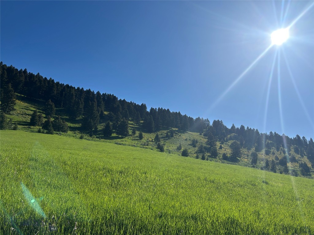 Bozeman MT 59715 - 3