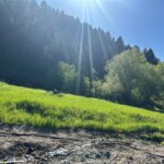 Bozeman MT 59715 - 4