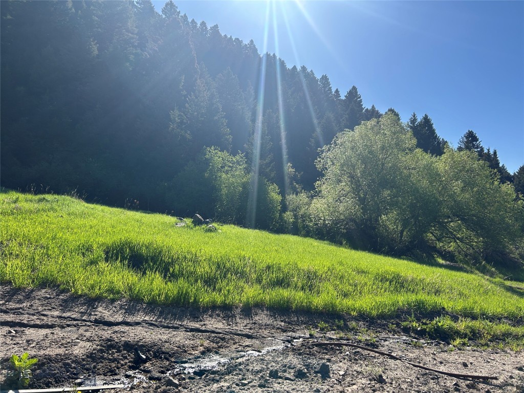 Bozeman MT 59715 - 4