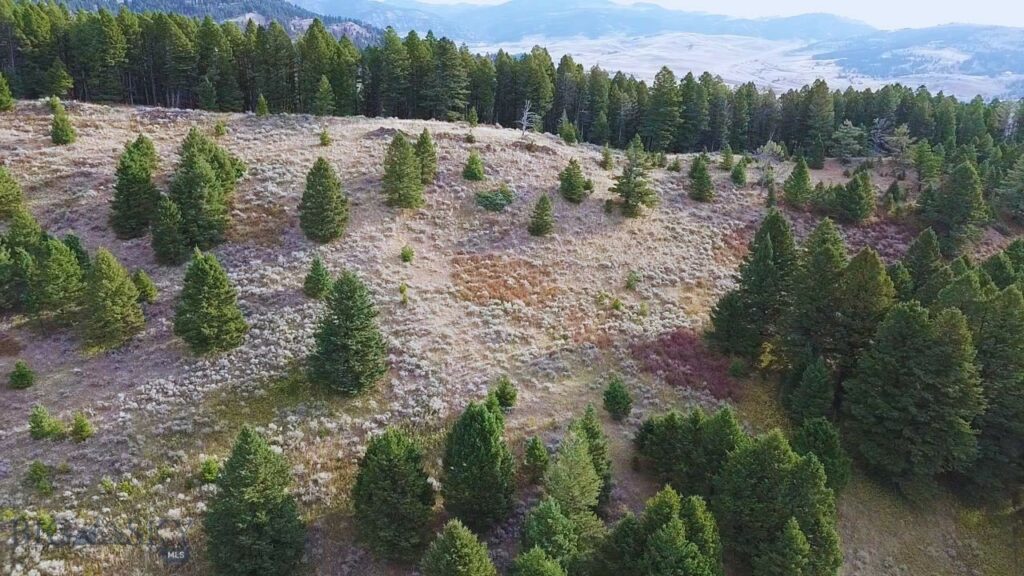 Bozeman MT 59715 - 5