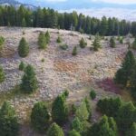 Bozeman MT 59715 - 5