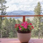 Bozeman MT 59715 - 6