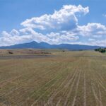 Bozeman MT 59715 - 7