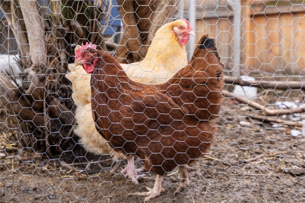 1014 W Dickerson Street