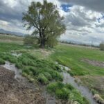 1051 Baxter Creek Way