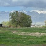 1051 Baxter Creek Way