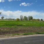 1051 Baxter Creek Way