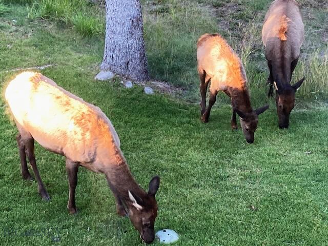 Big Sky MT 59716 - 22