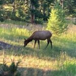 Big Sky MT 59716 - 24