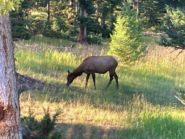 Big Sky MT 59716 - 24