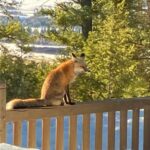 Big Sky MT 59716 - 25