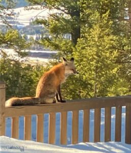 1055 Skywood Road, Big Sky MT 59716