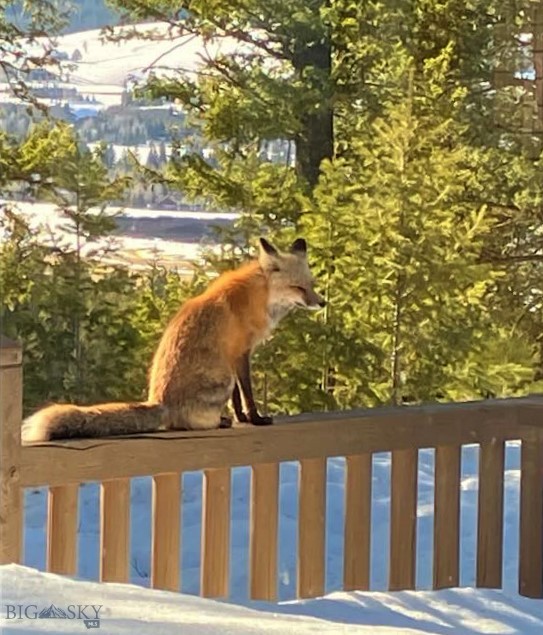 Big Sky MT 59716 - 25