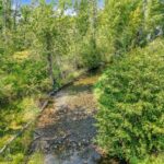 Bozeman MT 59718 - 19