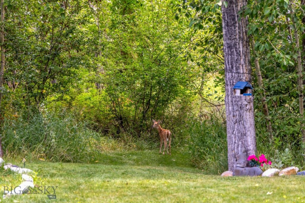 Bozeman MT 59718 - 24